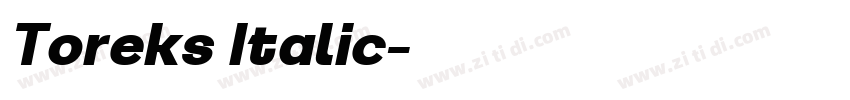 Toreks Italic字体转换